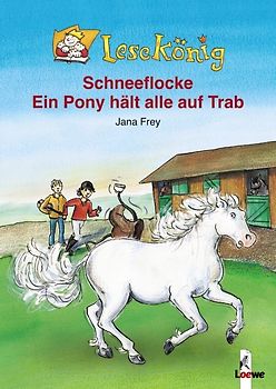 Schneeflocke - Ein Pony hält alle auf Trab