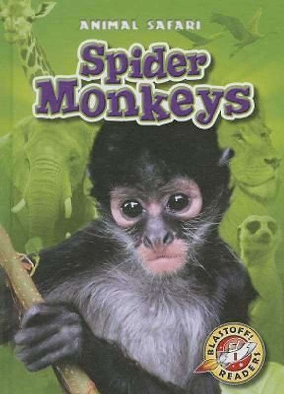 Spider Monkeys