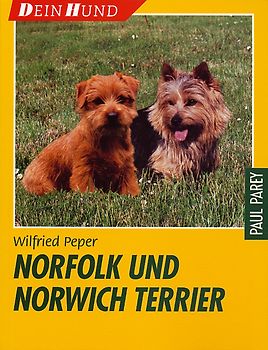 Norfolk und Norwich Terrier