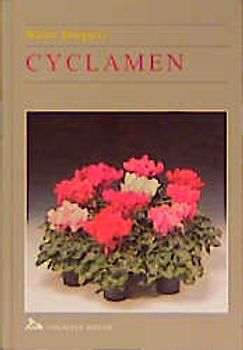 Cyclamen