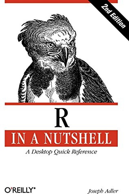 R in a Nutshell