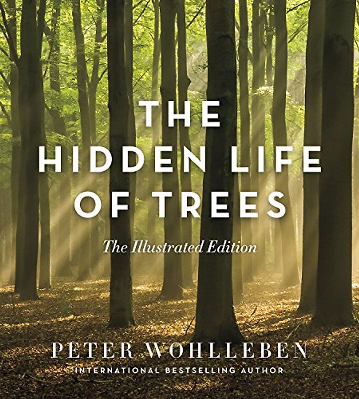 Hidden Life of Trees: The Illustrated Edition (David Suzuki Institute)