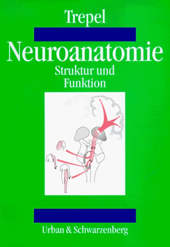 Neuroanatomie. Struktur und Funktionen