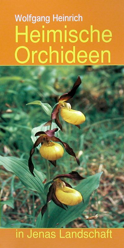 Heimische Orchideen in Jenas Landschaft