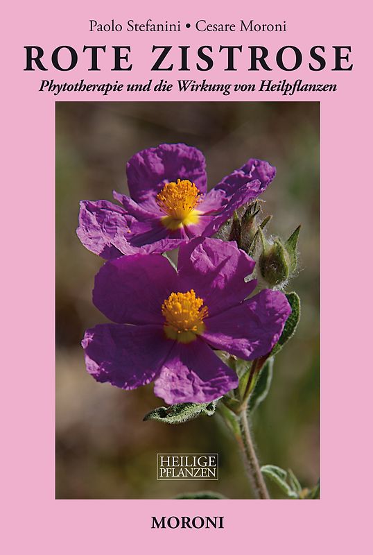 Rote Zistrose