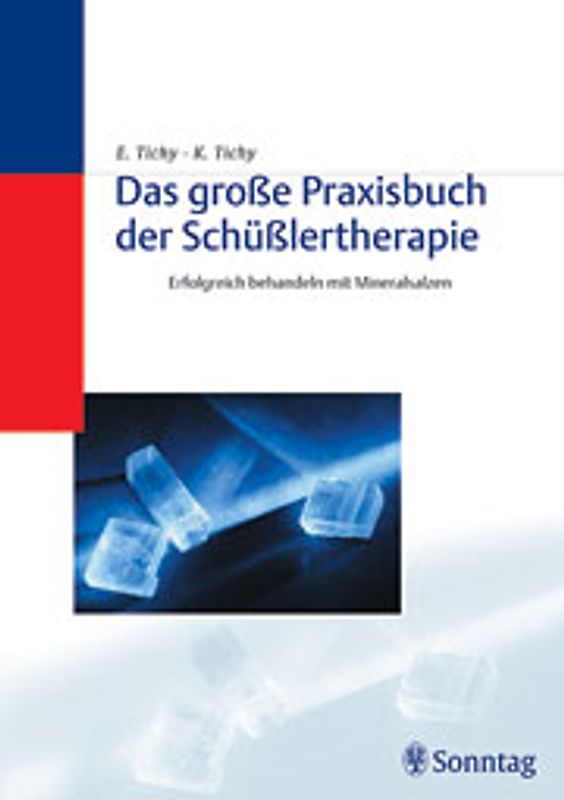 Das grosse Praxisbuch der Schüsslertherapie
