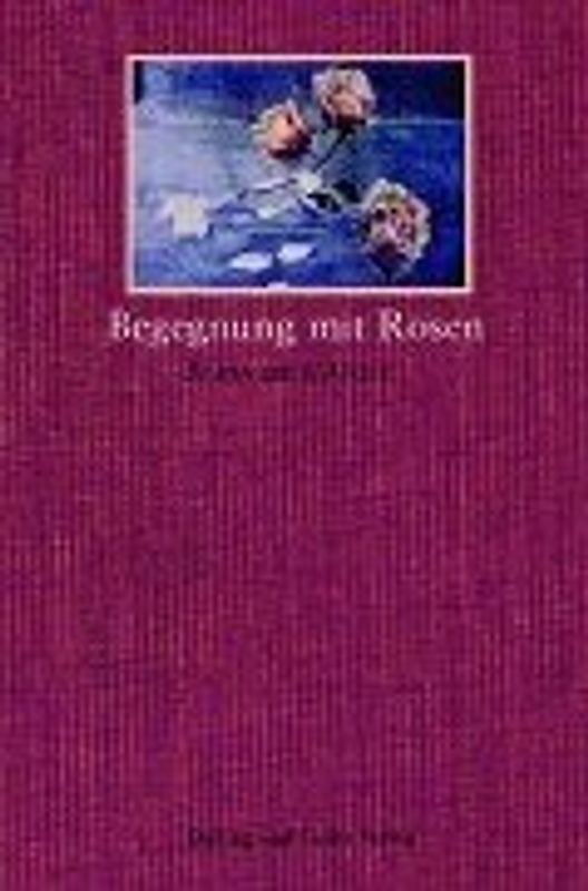 Begegnung mit Rosen