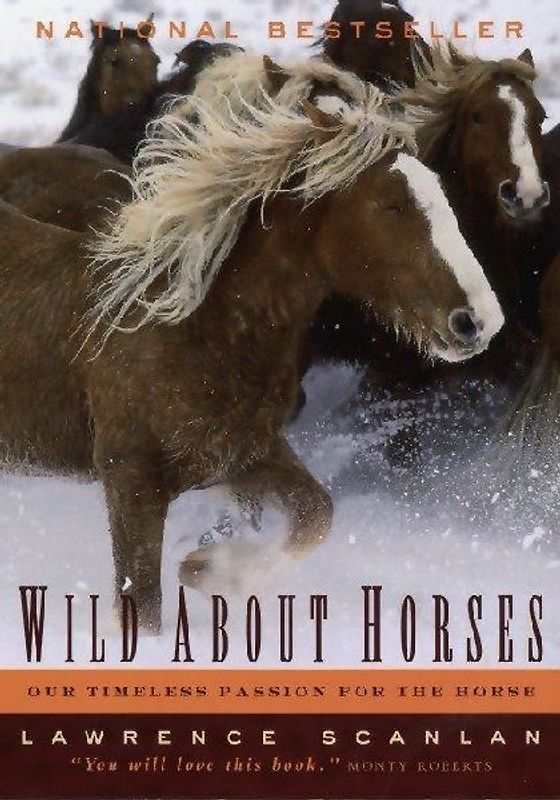 Wild about Horses
