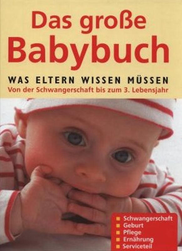 Das große Babybuch - Was Eltern wissen müssen. Von der Schwangerschaft bis zum 3. Lebensjahr - Gabriele Grünebaum
