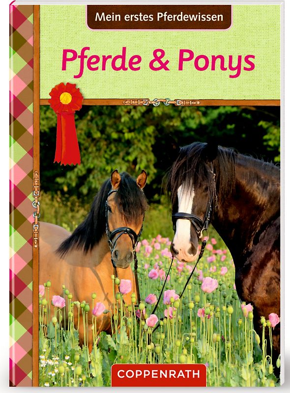 Pferdefreunde: Mein erstes Pferdewissen: Pferde & Ponys
