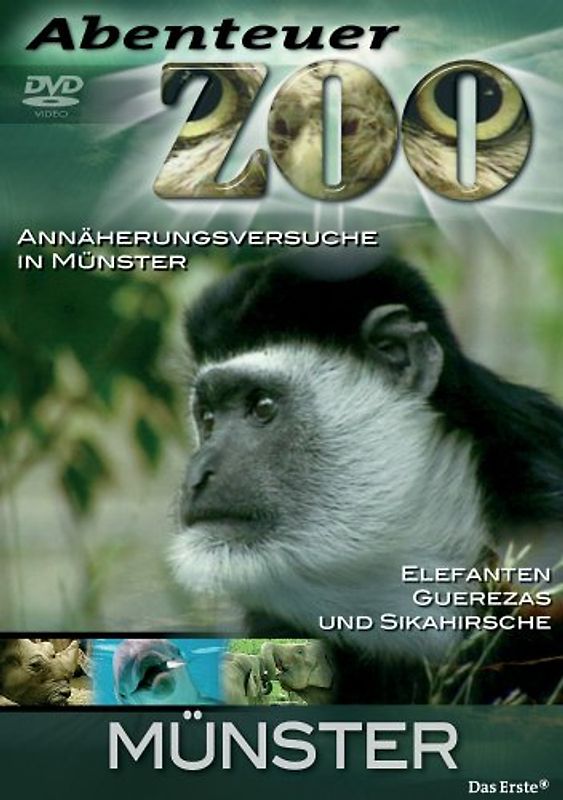 Abenteuer Zoo - Münster DVD