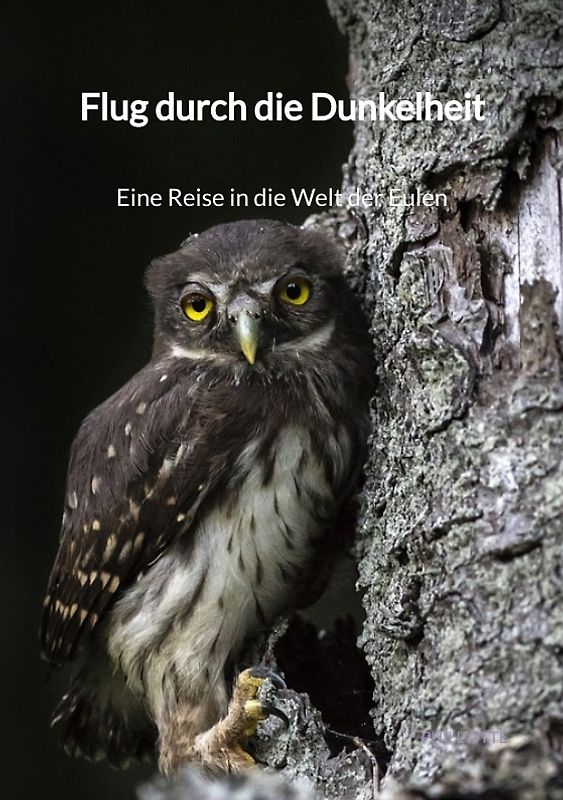 Flug durch die Dunkelheit - Eine Reise in die Welt der Eulen