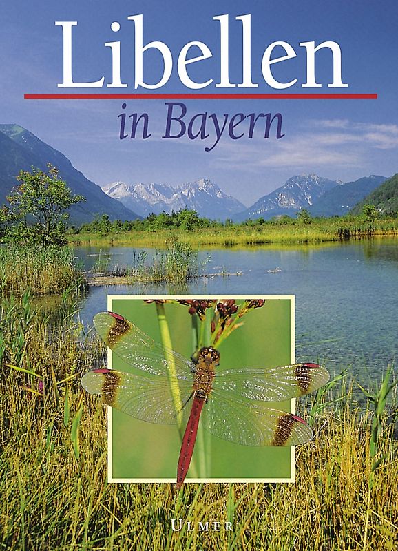 Libellen in Bayern
