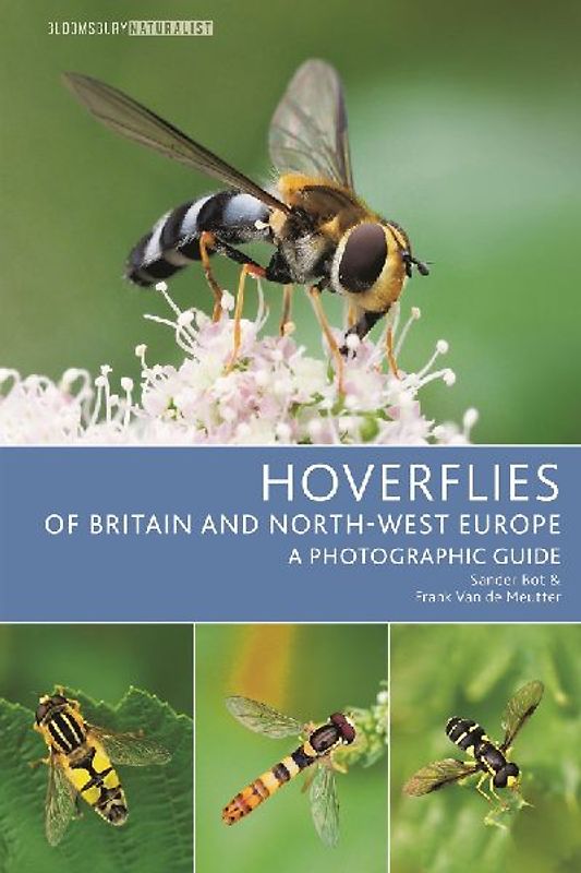 Hoverflies of Britain and North-West Europe