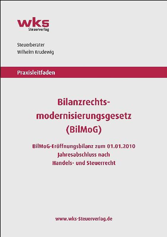 Praxisleitfaden Bilanzrechtsmodernisierungsgesetz (BilMoG)