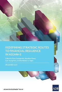 Redefining Strategic Routes to Financial Resilience in ASEAN+3