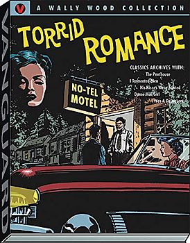 Wally Wood Torrid Romance (Woodwork, Wally Wood Classics)