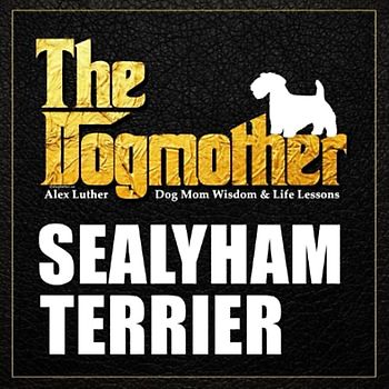 The Dogmother: Sealyham Terrier: (Dog Mom Wisdom & Life Lessons)