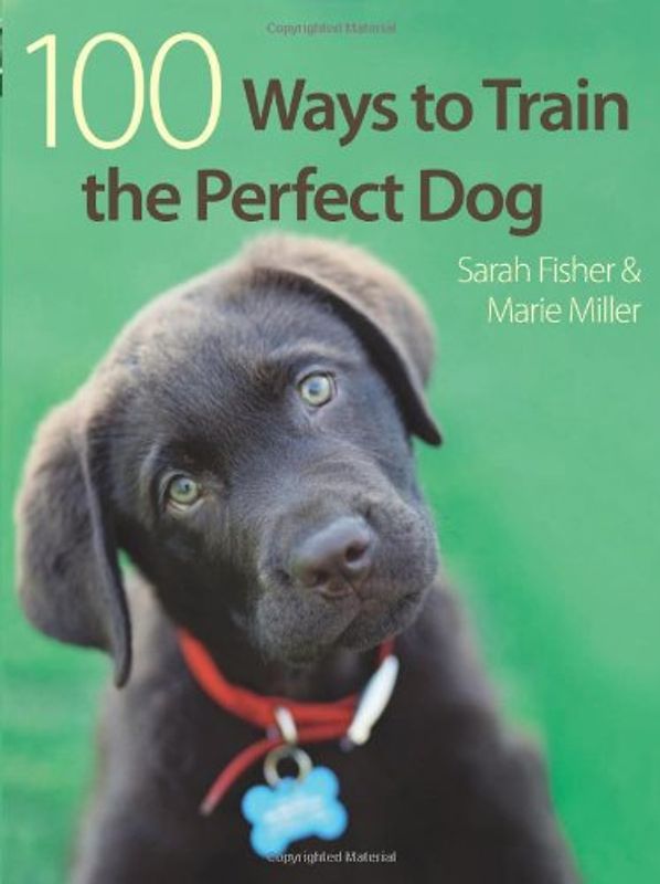 100 Ways to Train the Perfect Dog - Sarah Fisher