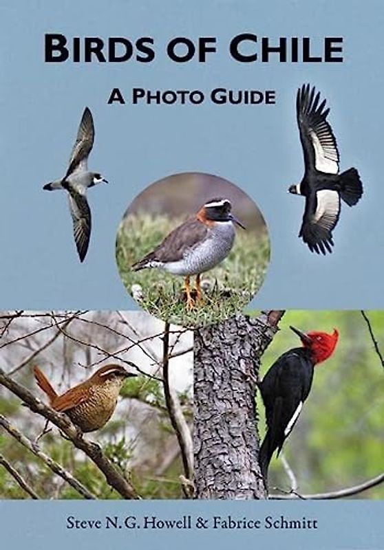 Birds of Chile: A Photo Guide