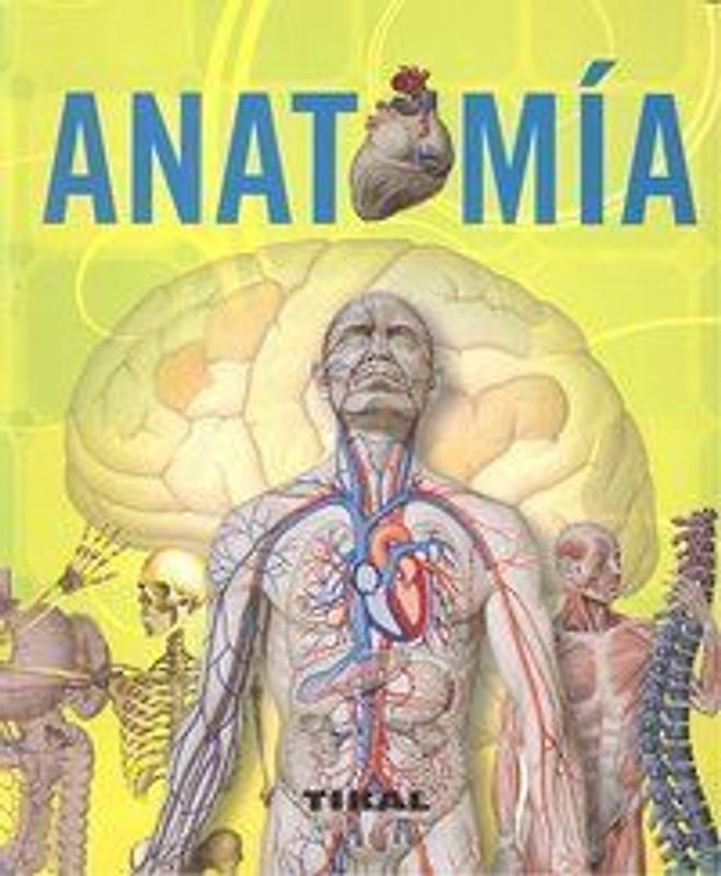Anatomía