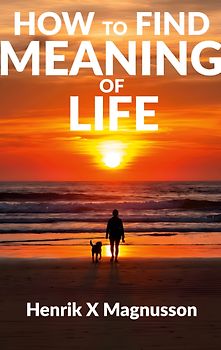 How to Find Meaning of Life