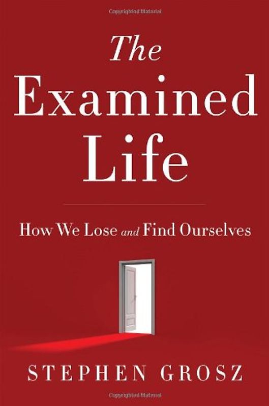 The Examined Life: How We Lose and Find Ourselves
