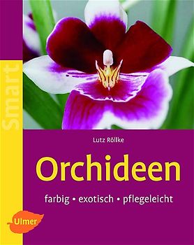 Orchideen. Farbig - exotisch - pflegeleicht