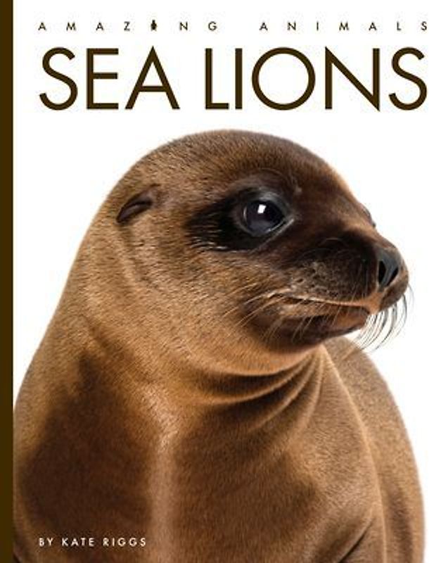 Sea Lions