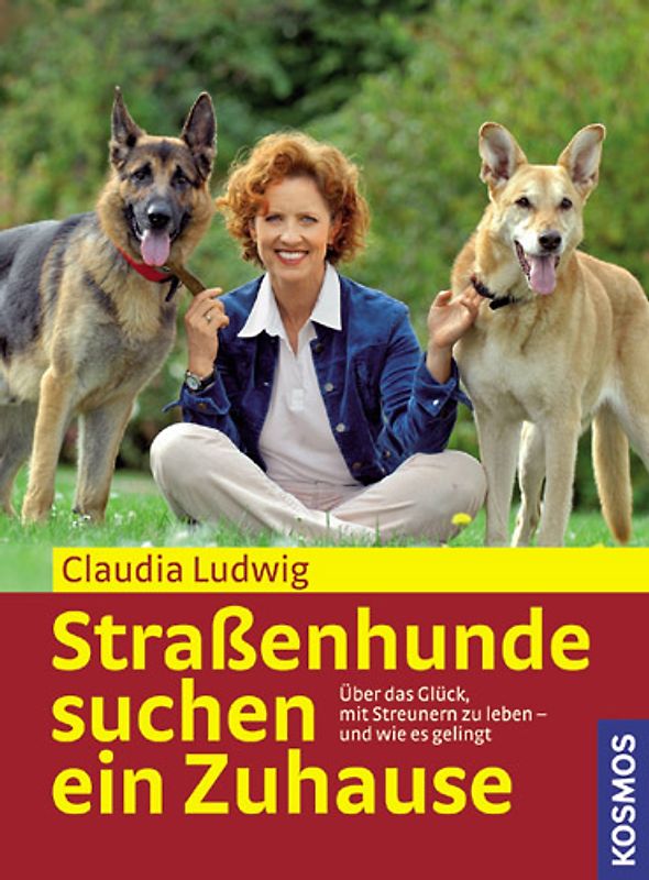 Straßenhunde suchen ein Zuhause
