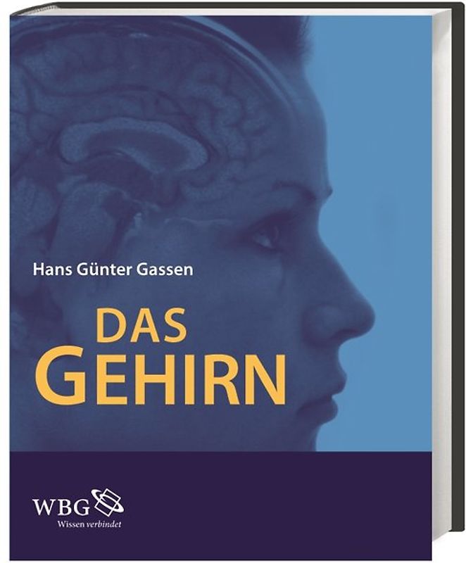 Das Gehirn