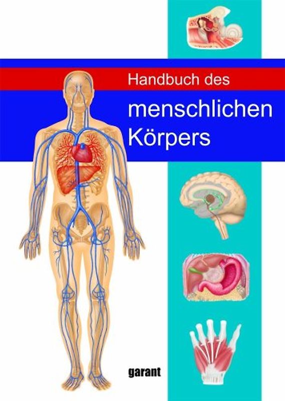 Handbuch des Menschlichen Körpers