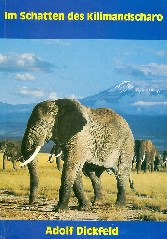 Im Schatten des Kilimandscharo