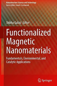 Functionalized Magnetic Nanomaterials
