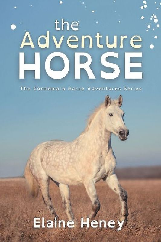 The Adventure Horse - Dyslexia Friendly
