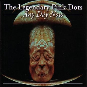 the Legendary Pink Dots - Any Day Now