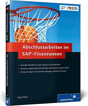 Abschlussarbeiten im SAP-Finanzwesen