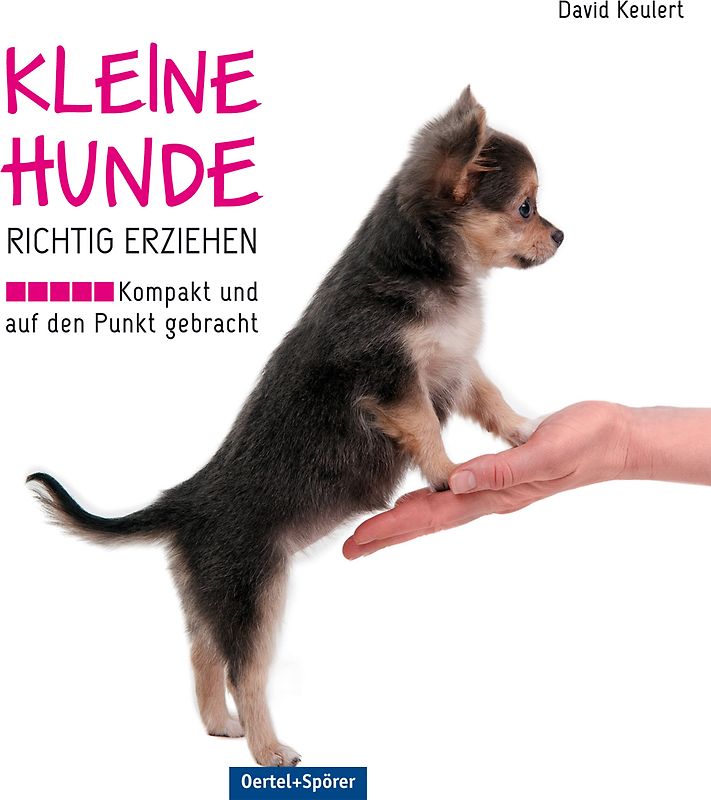Kleine Hunde richtig erziehen