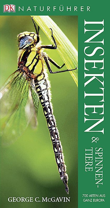 Insekten und Spinnentiere