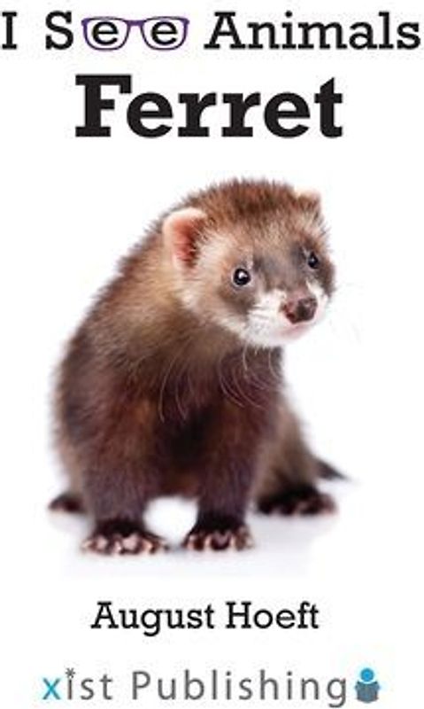Ferret