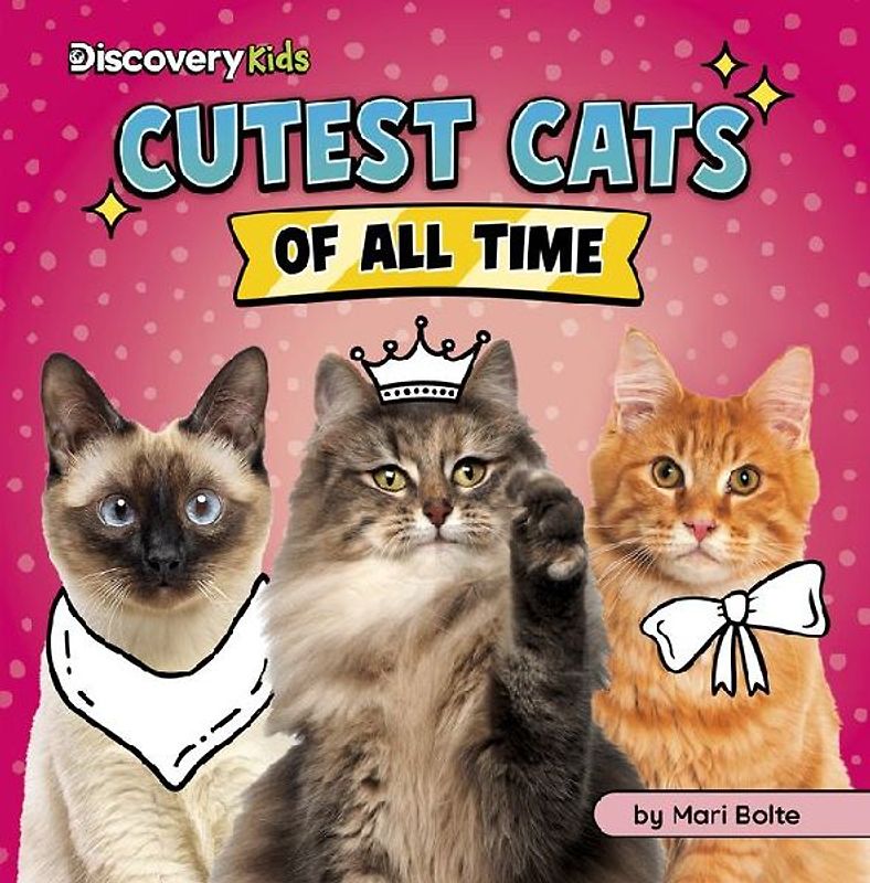 Cutest Cats of All Time