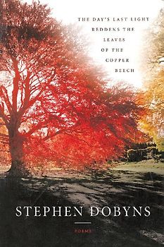 The Day's Last Light Reddens the Leaves of the Copper Beech