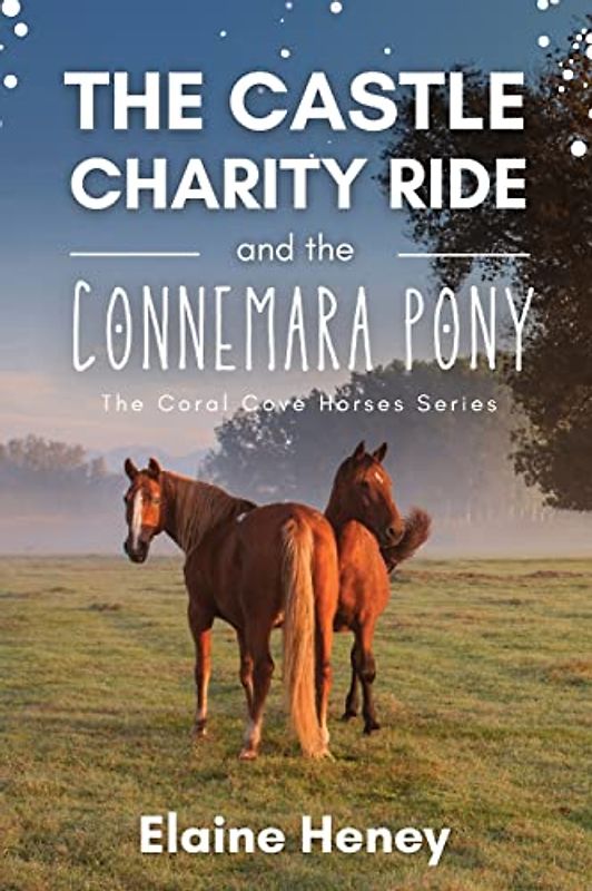 The Castle Charity Ride and the Connemara Pony - The Coral Cove Horses Series