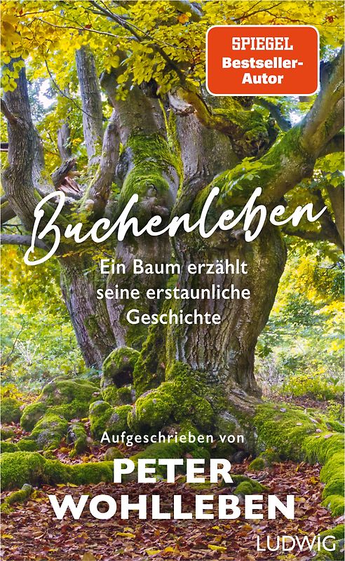 Buchenleben