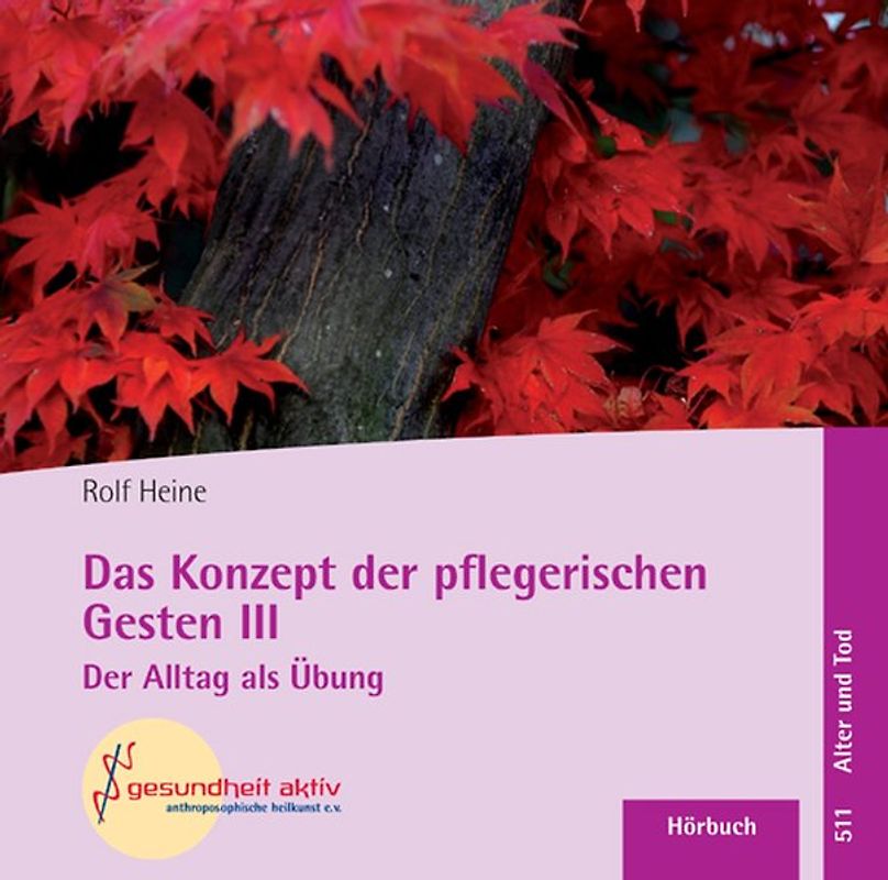 Das Konzept der pflegerischen Gesten III