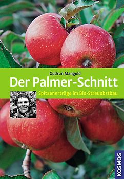 Der Palmer-Schnitt