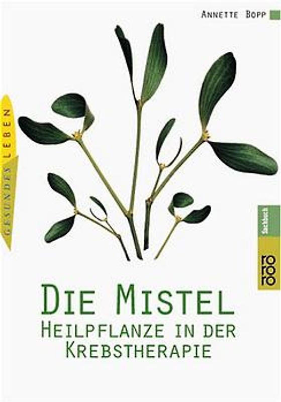 Die Mistel: Heilpflanze in der Krebstherapie