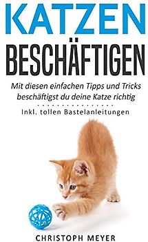 Katzen beschäftigen: Mit diesen einfachen Tipps und Tricks beschäftigst du deine Katze richtig - Inkl. tollen Bastelanleitungen (Katzen trainieren, Band 4)
