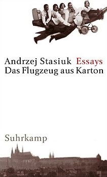 Das Flugzeug aus Karton