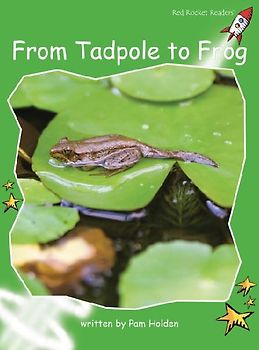 From Tadpole to Frog Big Book Edition